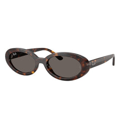 Gafas de Sol Ray-Ban RB2223 902/B1 54 19