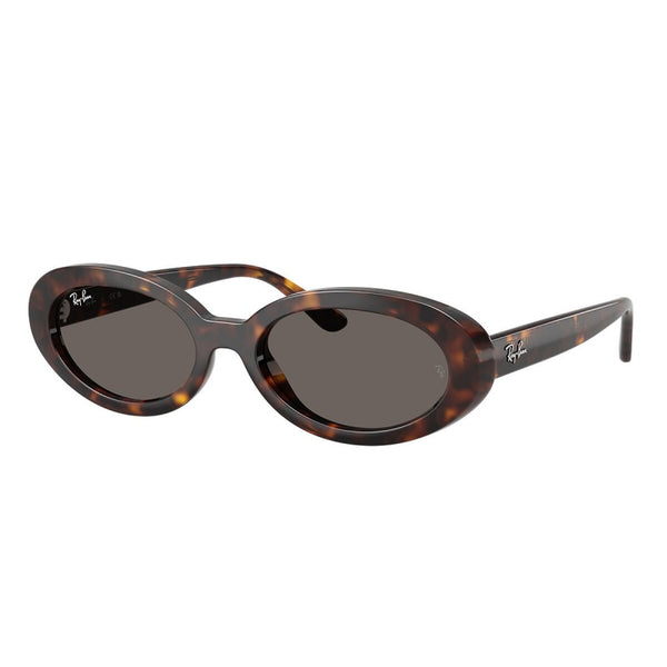 Ray-Ban RB2223 902/B1 54 19 太阳镜