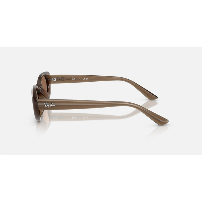 Sonnenbrillen Ray-Ban RB4441D 677973 53 21 — vista 3