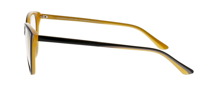 Lunettes de Vue Prodesign Wing 2 6022 55 17 — Image 3