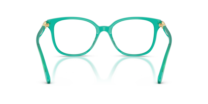 Gafas Graduadas Swarovski SK2069 1028 51 / 53 17 — Imagen 3