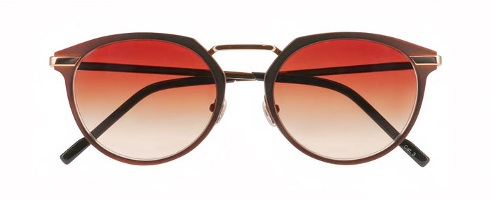 Gafas de Sol Prodesign Force 1 S 5031 53 19 — Imagen 2