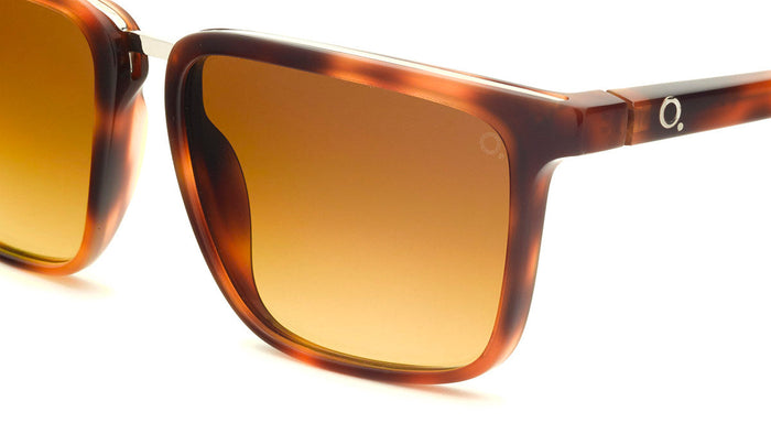 Gafas de Sol Etnia ARGENTERIA SUN — vista 7