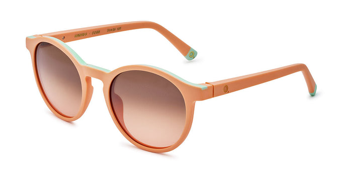 Gafas de Sol Etnia AVINYO 3 SUN - CO/GR — vista 2