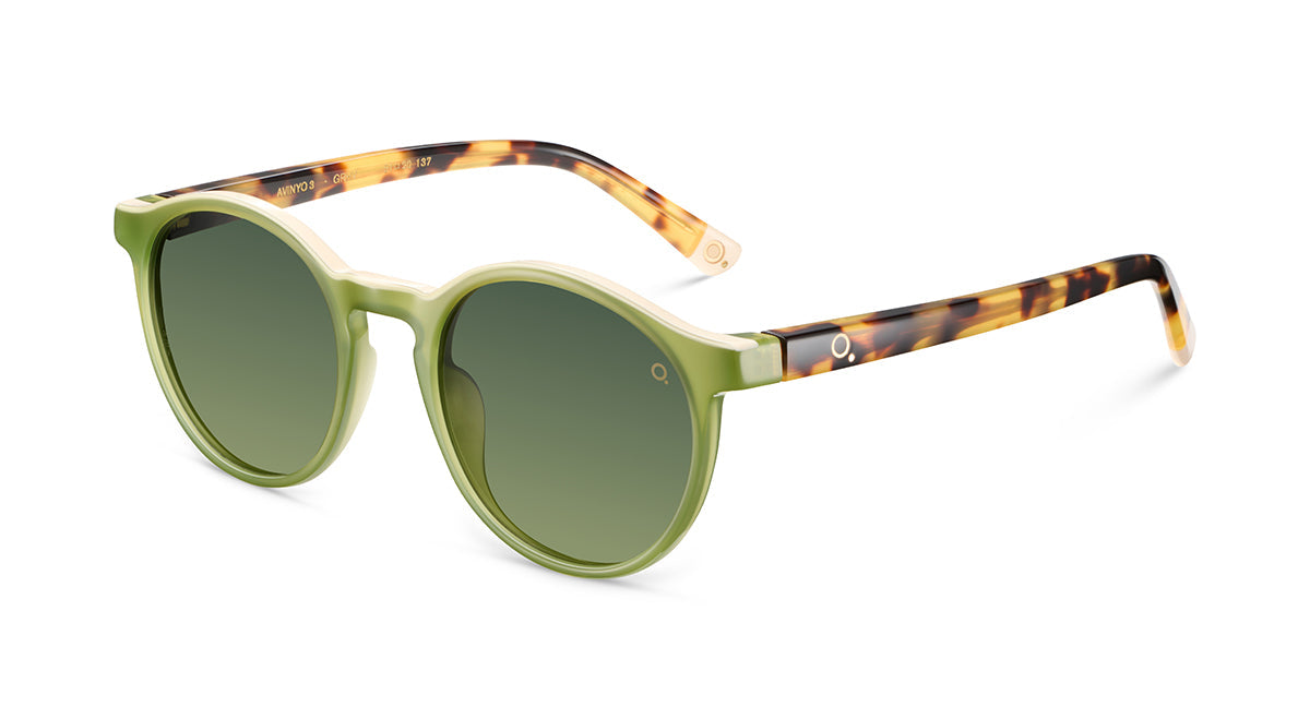 Gafas de Sol Etnia AVINYO 3 SUN - GR/HV — vista de producto