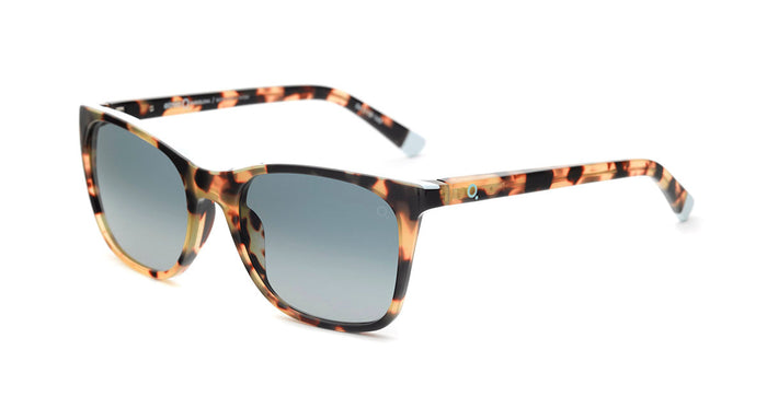 Gafas de Sol Etnia MONTSIO SUN — vista 6