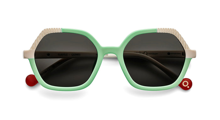 Gafas de Sol Etnia TURTLE SUN — vista 4
