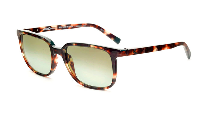 Gafas de Sol Etnia WLA AFRICA09 — vista 5