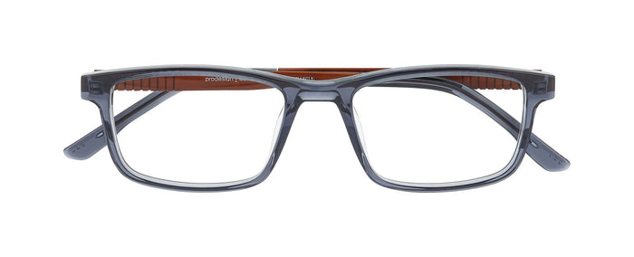 Gafas Graduadas Prodesign Proflex Ace 5 6625 52 18 — Imagen 2