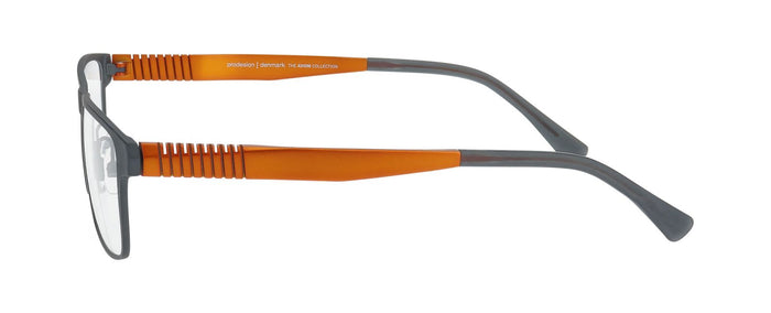 Gafas Graduadas Prodesign Proflex T 2 6631 53 16 — Imagen 3