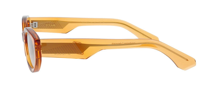 Gafas de Sol Prodesign Steam 4525 50 22 — Imagen 3