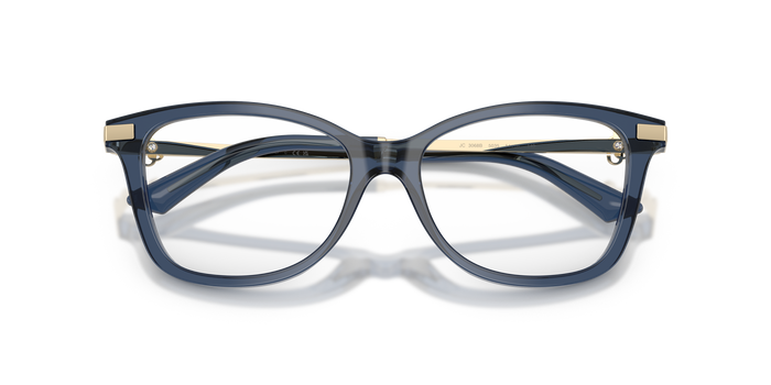 Gafas Graduadas Jimmy Choo JC3068B 5035 52 / 54 16 — Imagen 5