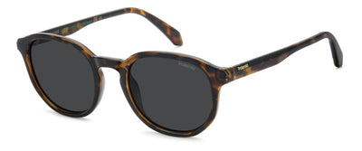 Lunettes de soleil Polaroid PLD 4195/S 086M9 51 21
