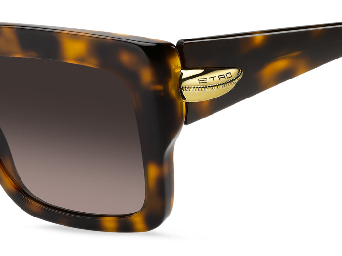Солнцезащитные очки Etro 0131/S 05LHA 55 20 — vista 4