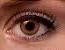 Freshlook Colors с диоптриями — vista 3