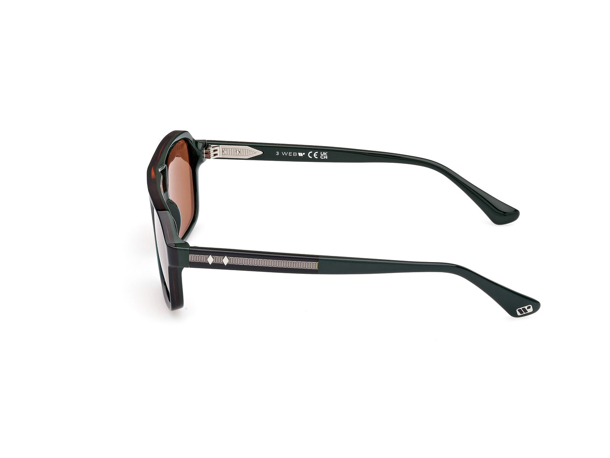 Lunettes de soleil Web WE376 98E 55 19