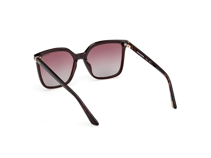 Gafas de Sol Skechers SE168 47H 53 16 — vista 3