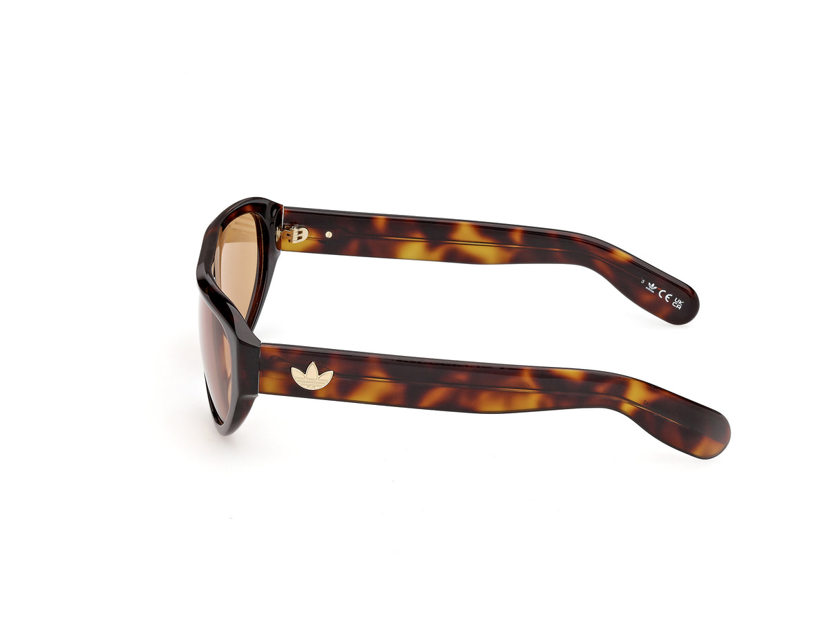 Sunglasses Adidas OR146 53E 57 15