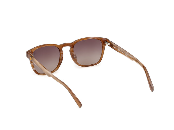 Sonnenbrille Timberland TB100 62H 53 21 — vista 3