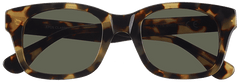 Gafas de Sol Epos Api TR 49 22