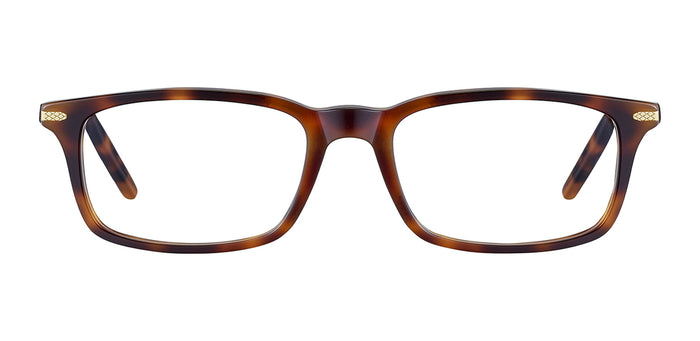 Serengeti Clint 615002 Shiny Tortoise Havana 55 19 太阳镜 — vista 2