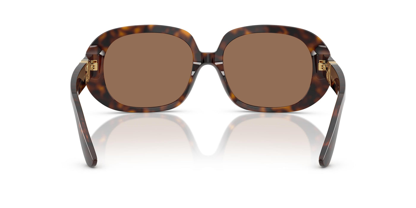 Gafas Graduadas Dolce & Gabbana DG4476 502/73 56 17