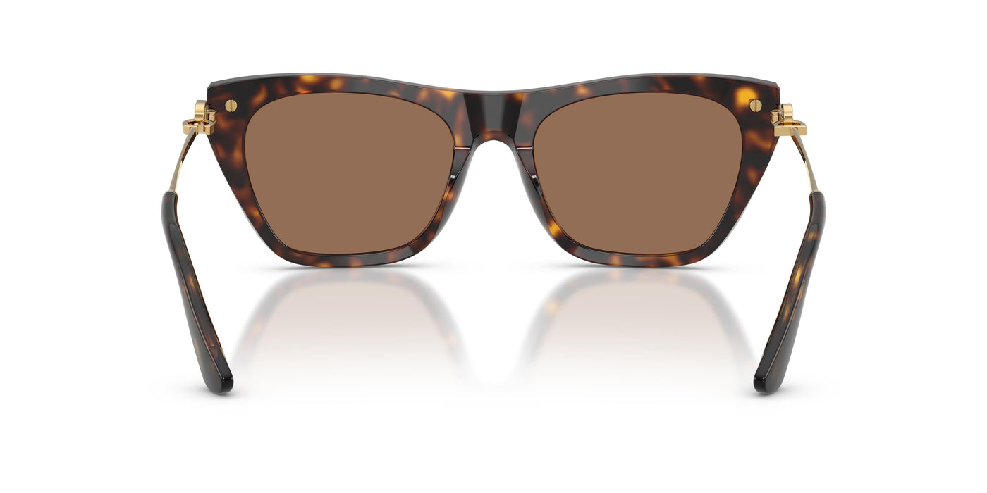 Gafas Graduadas Dolce & Gabbana DG4511 502/73 55 19