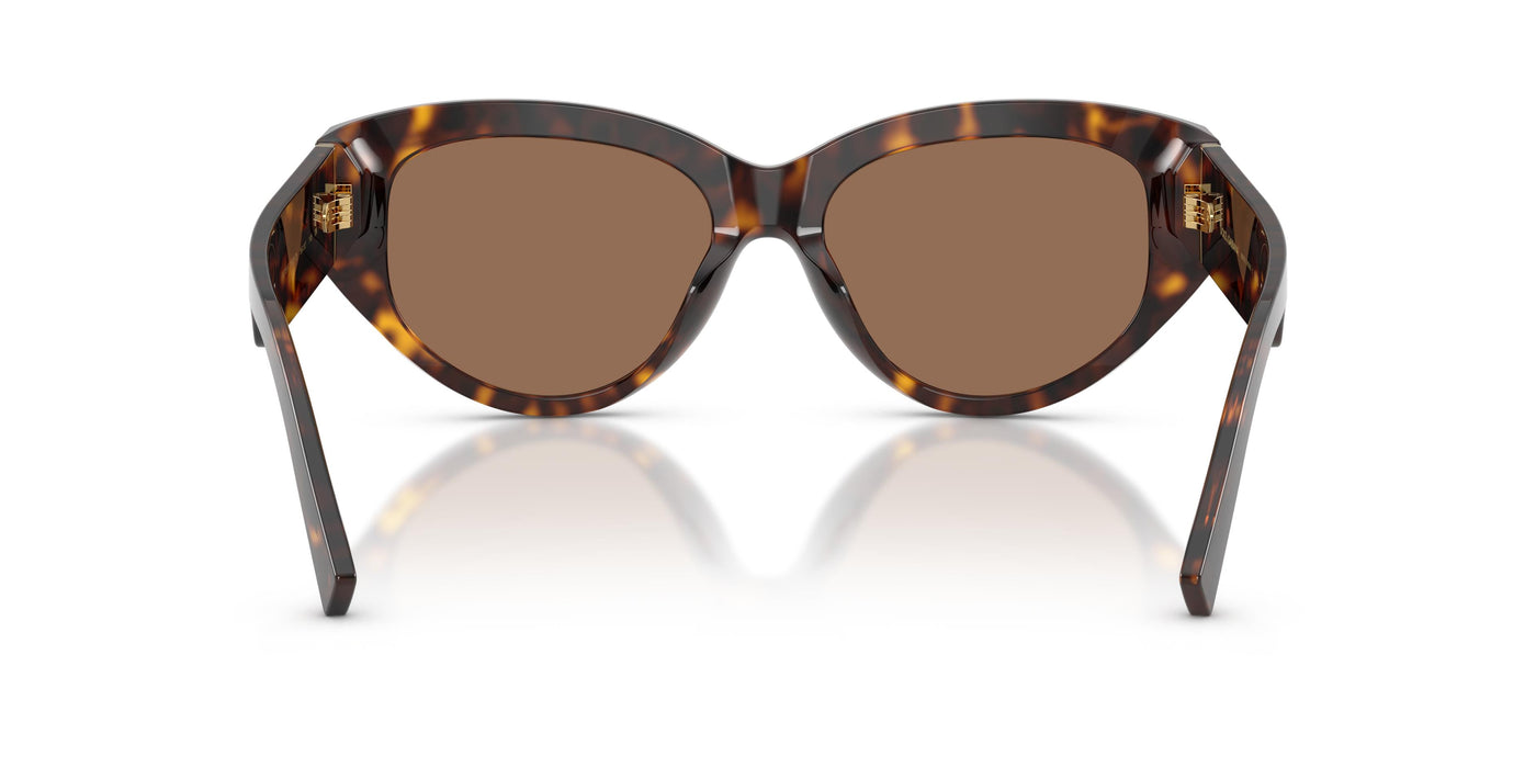 Gafas Graduadas Dolce & Gabbana DG4514 502/73 55 17