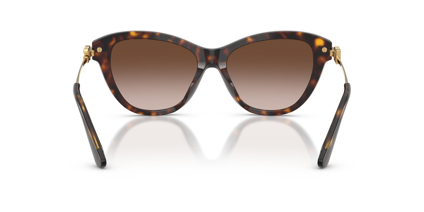 Gafas Graduadas Dolce & Gabbana DG4534 502/13 53 16