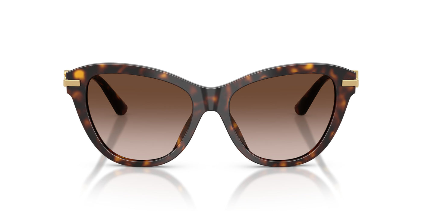 Gafas Graduadas Dolce & Gabbana DG4534 502/13 53 16