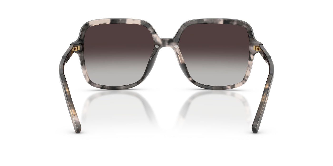 Gafas de Sol Dolce & Gabbana DG4539 31728G 55 17