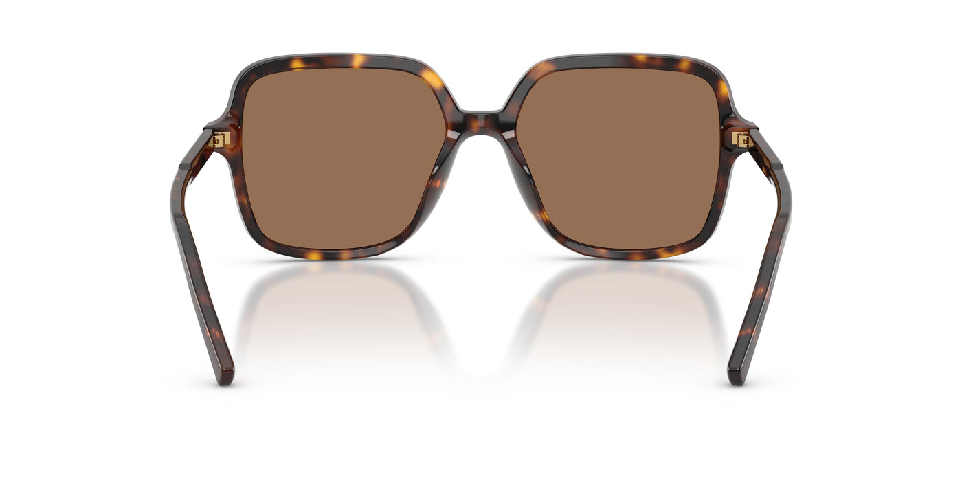 Gafas de Sol Dolce & Gabbana DG4539 502/73 55 17