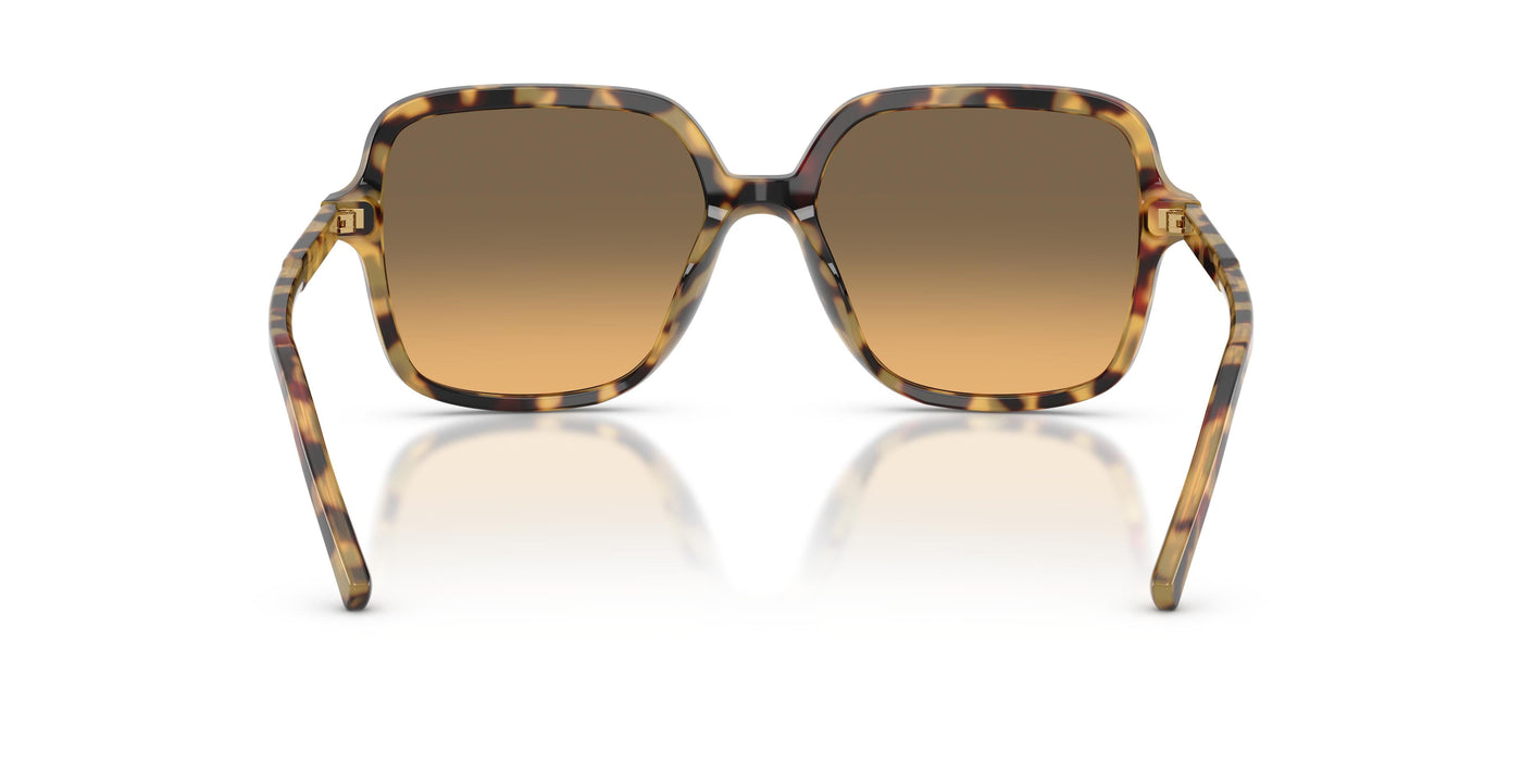 Gafas Graduadas Dolce & Gabbana DG4539 512/11 55 17