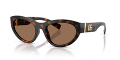 Sonnenbrille Dolce & Gabbana DG6207 502/73 54 20