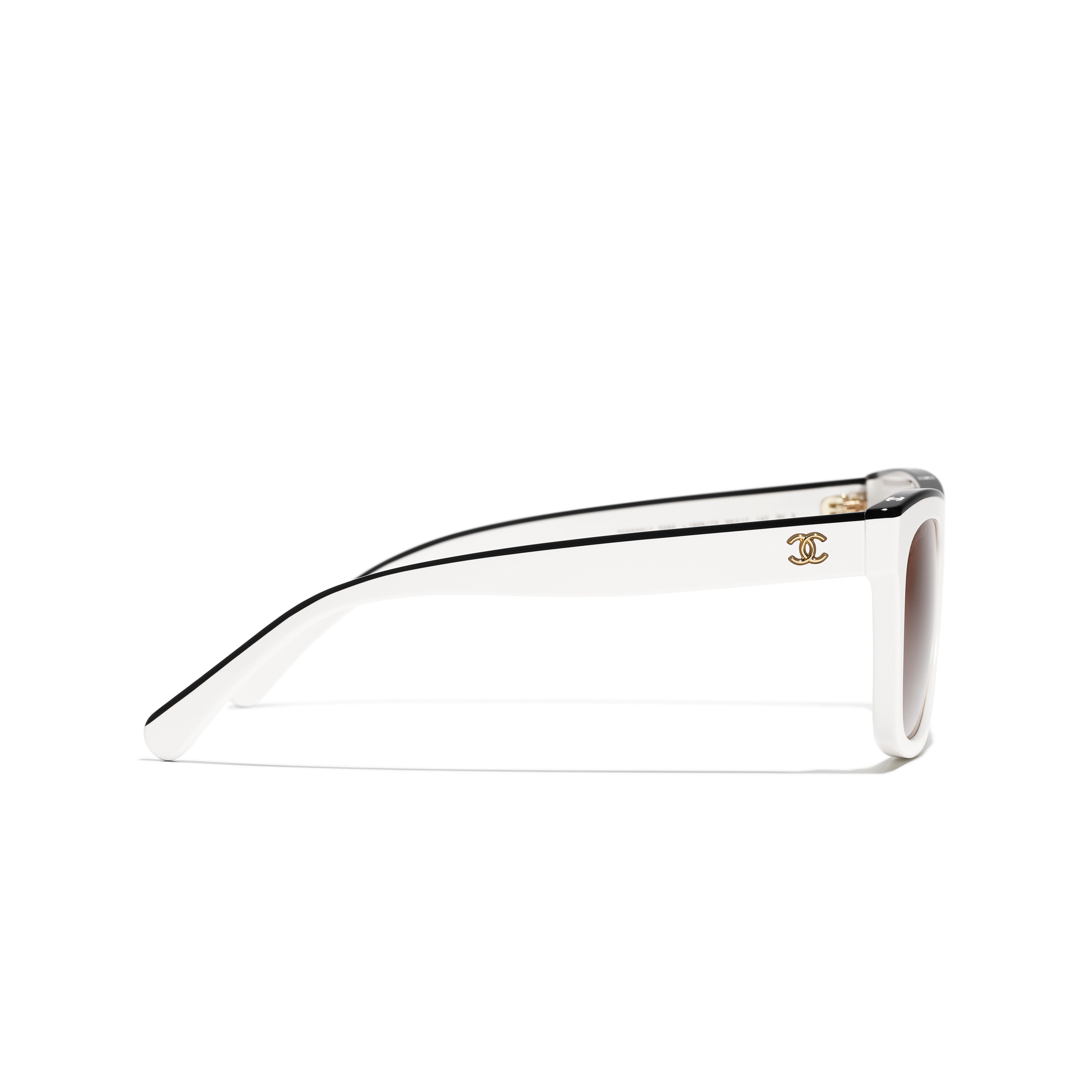 Sunglasses CHANEL 5569 1856/73 55 17