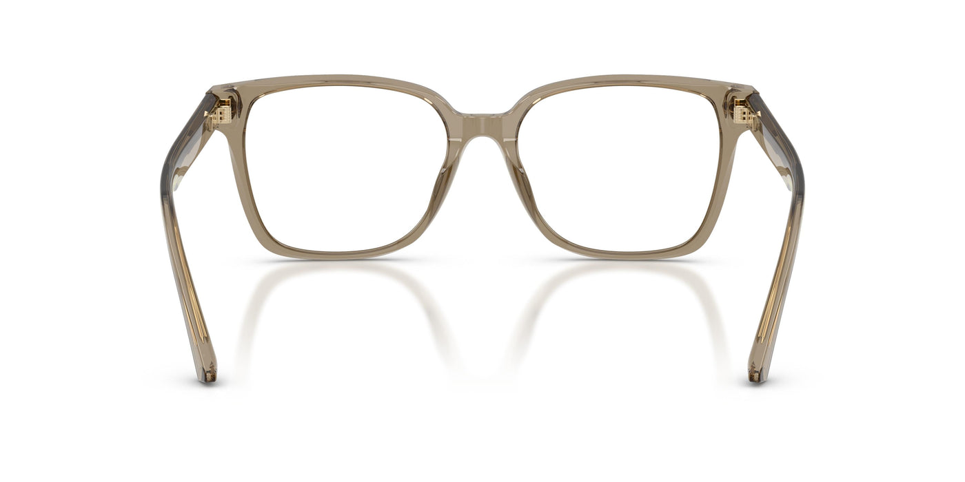 Очки для зрения Jimmy Choo JC3038D 5051 54 17