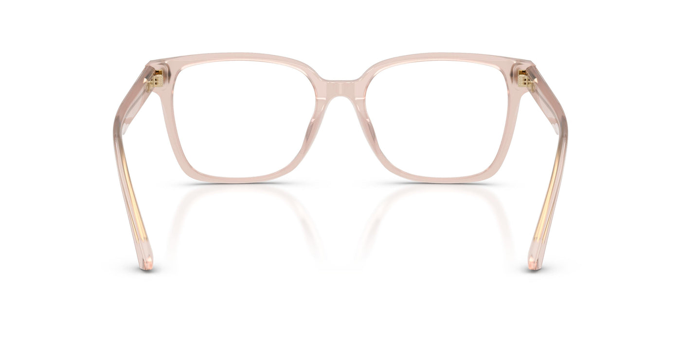 Brille Jimmy Choo JC3038D 5052 54 17