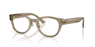 Brille Jimmy Choo JC3058D 5051 50 20