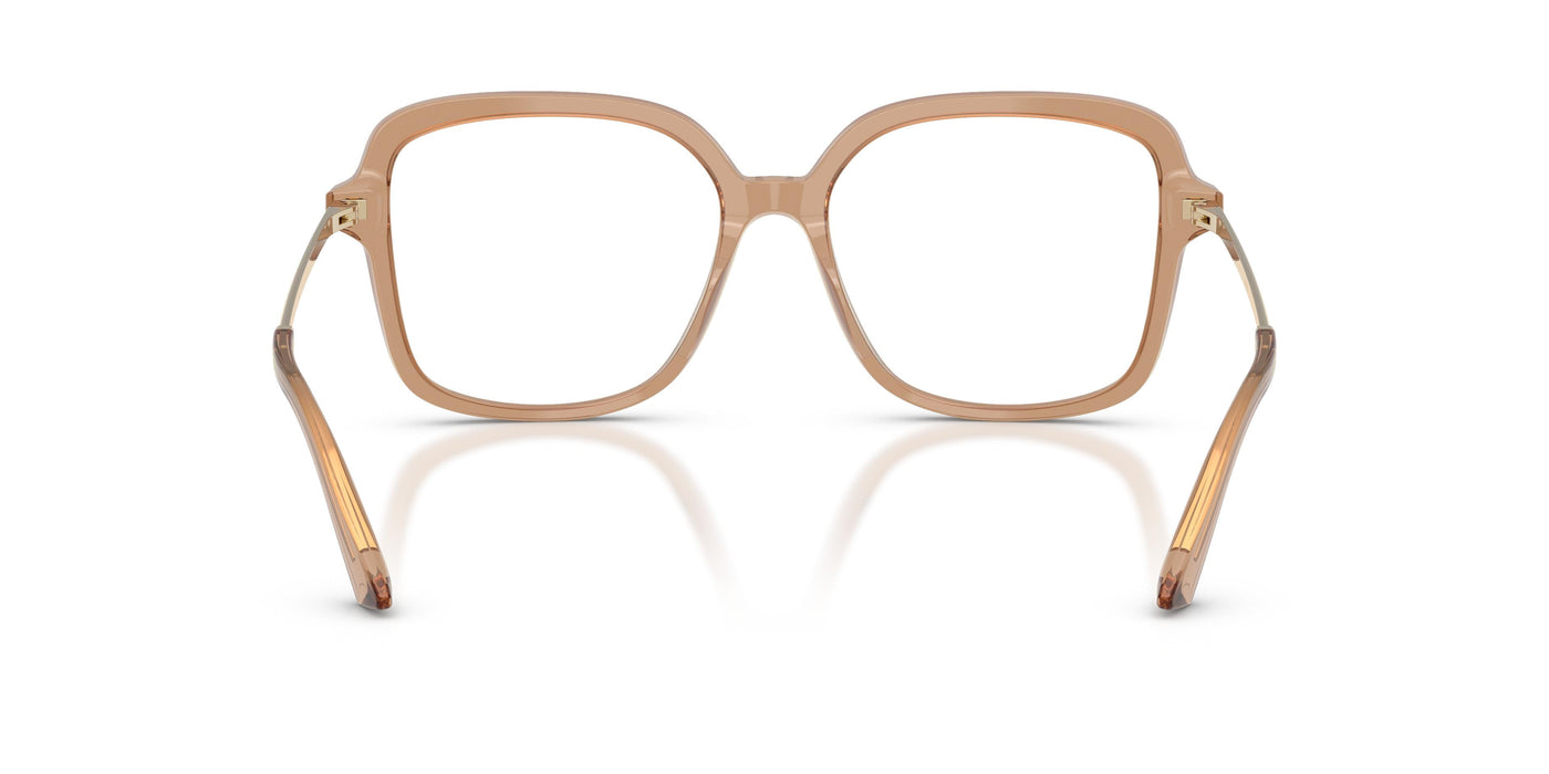 Prescription Glasses Jimmy Choo JC3061U 5076