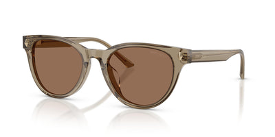 Gafas de Sol Jimmy Choo JC5043D 505173 53 20