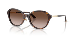 Gafas de Sol Jimmy Choo JC5044D 500213 54 19