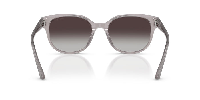 Gafas de Sol Jimmy Choo JC5057D 50968G 55 19 — vista 3