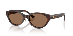Brille Jimmy Choo JC5064D 500273 55 19