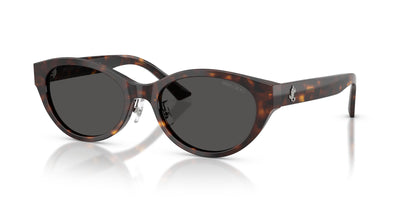 Brille Jimmy Choo JC5064D 500287 55 19