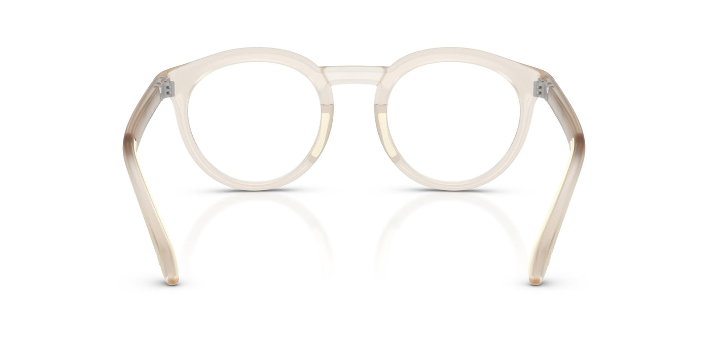 Gafas de Sol Moncler ME3006U 5042 49 22