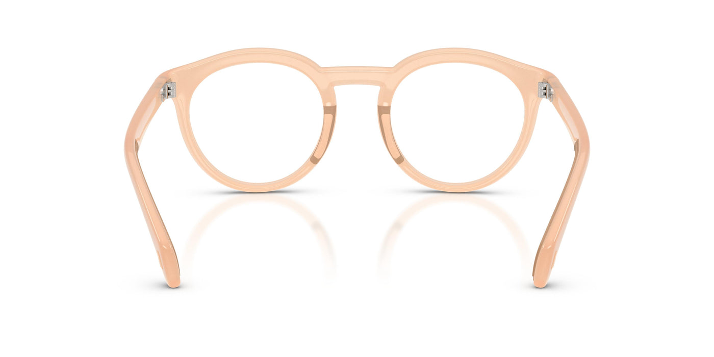 Gafas Graduadas Moncler ME3006U 5043 49 22