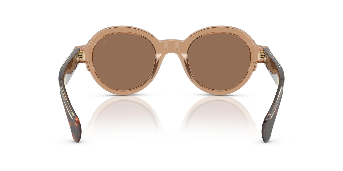 Prescription Glasses Moncler RONDOSA ME6003 303773 47 22