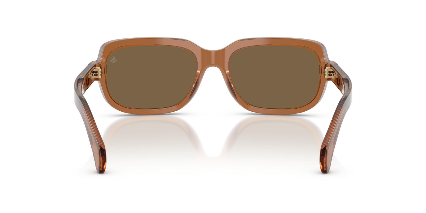 Prescription Glasses Moncler SUNTRAP ME6008 3017F9 55 18
