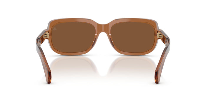 Brille Moncler SUNTRAP ME6008 3017/3 55 18 — vista 3