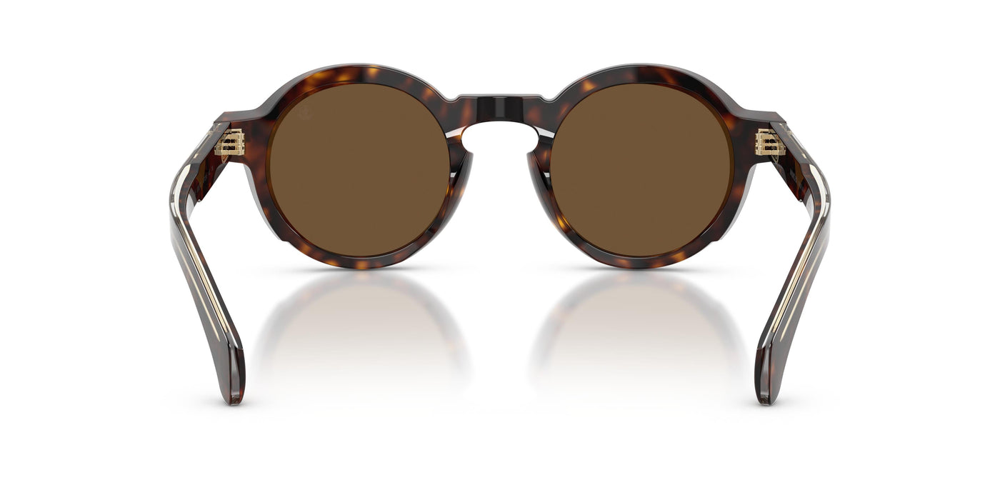 Prescription Glasses Moncler AURONE ME6012 300273 47 24